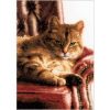Relaxed Tabby Counted Cross Stitch Kit by Lanarte