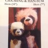 Cha-Ming 14 inch and Han-Sum 7 inch Panda Bear Patterns