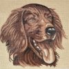 The Happy Spaniel Dog Tapestry Kit